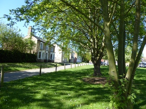 Houses near the green in Swavesey.